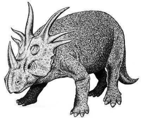 Triceratops horridus скелет