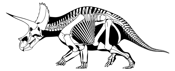 Трицератопс в графике