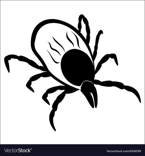 Клещ вектор силуэт