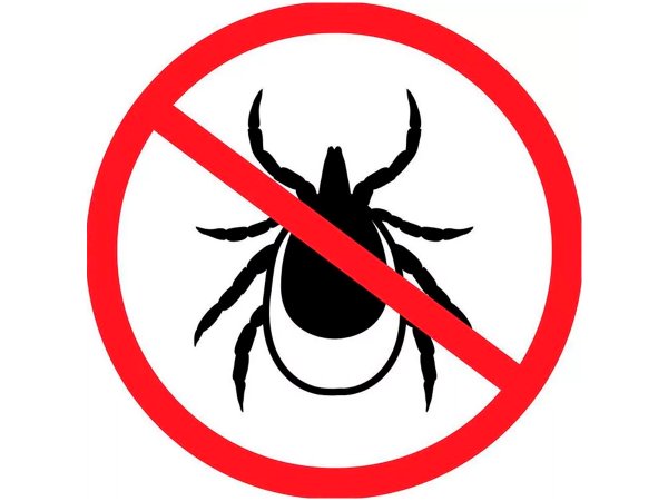 Территория обработана от клещей