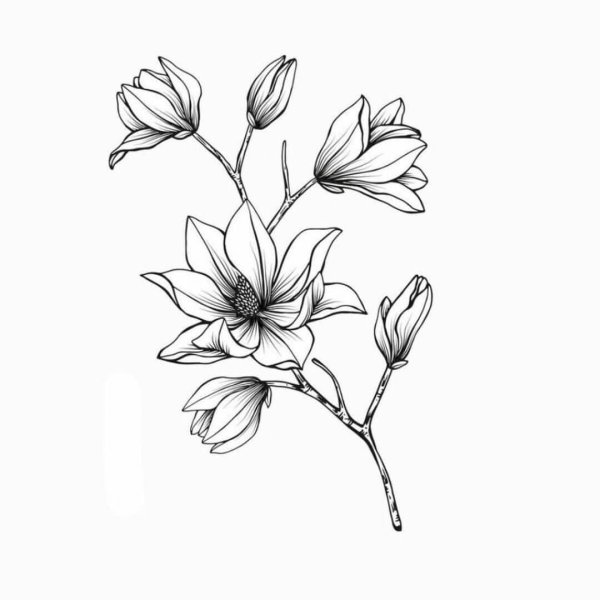 Яйветы рисунок карандашом