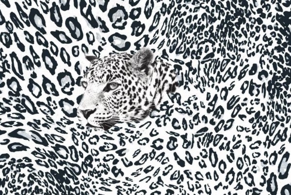 Леопардовые обои