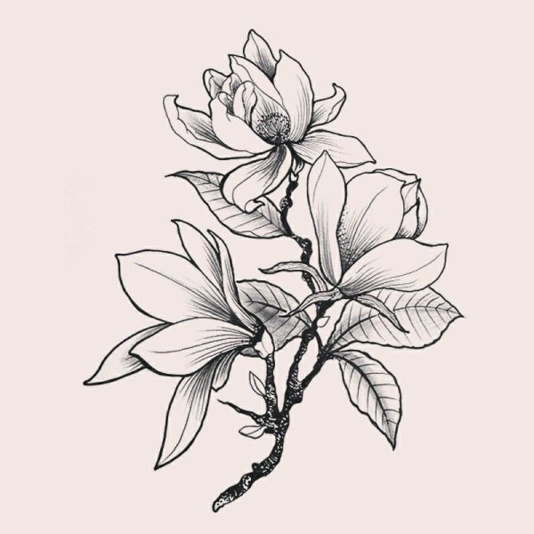 Магнолия тату эскизы