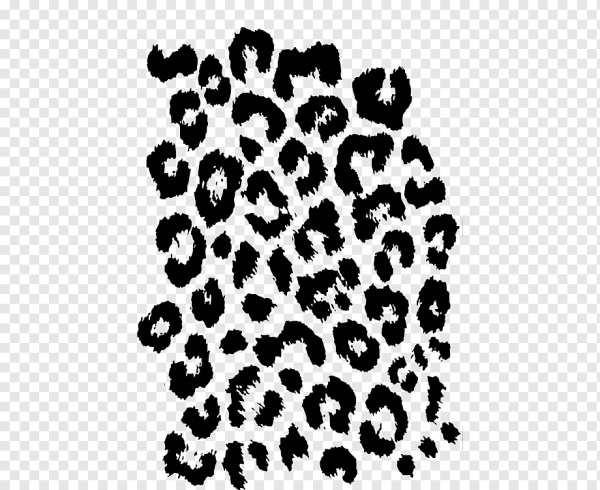 Пятна леопарда