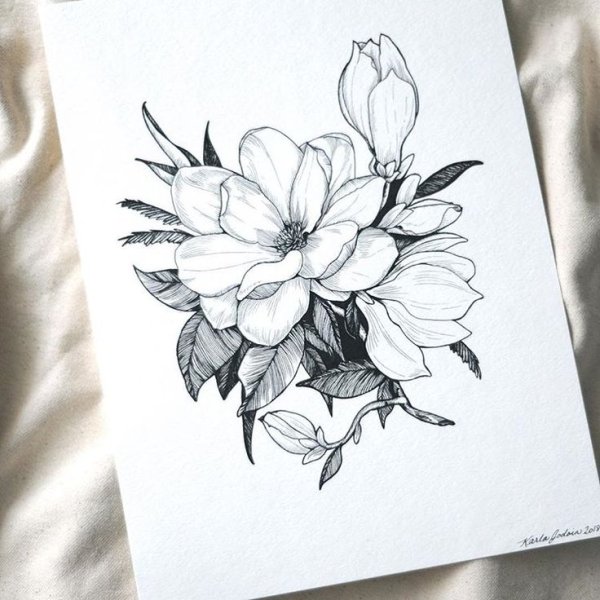Магнолия цветок эскиз тату