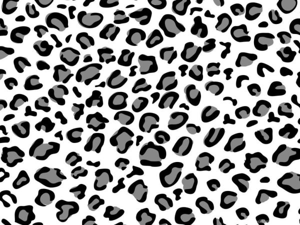 Трафарет леопарда для аэрографии