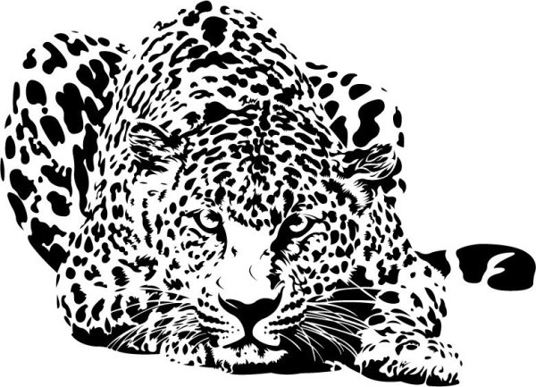 Снежный Барс эскиз