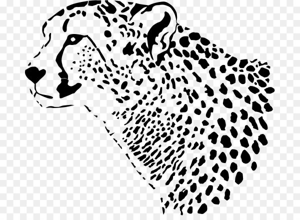 Леопард черно белый