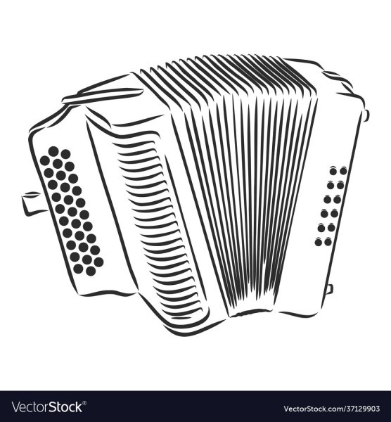 Баян черно белый