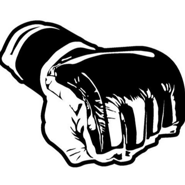 Перчатка ММА вектор