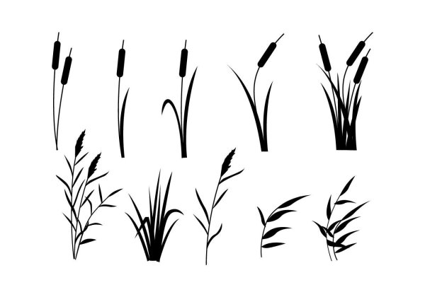 Трава силуэт