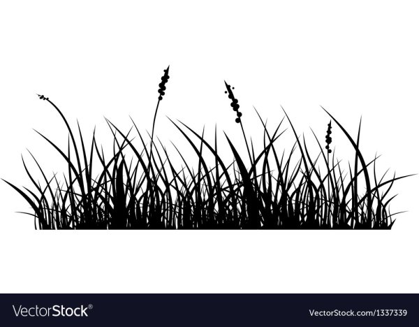 Высокая трава вектор