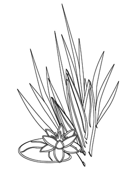 Трава раскраска