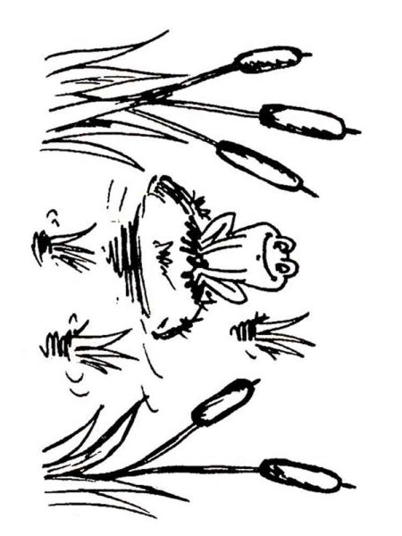 Раскраска камыши