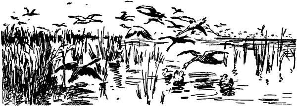 Утиная охота вектор