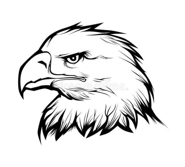Контурные изображения головы орла