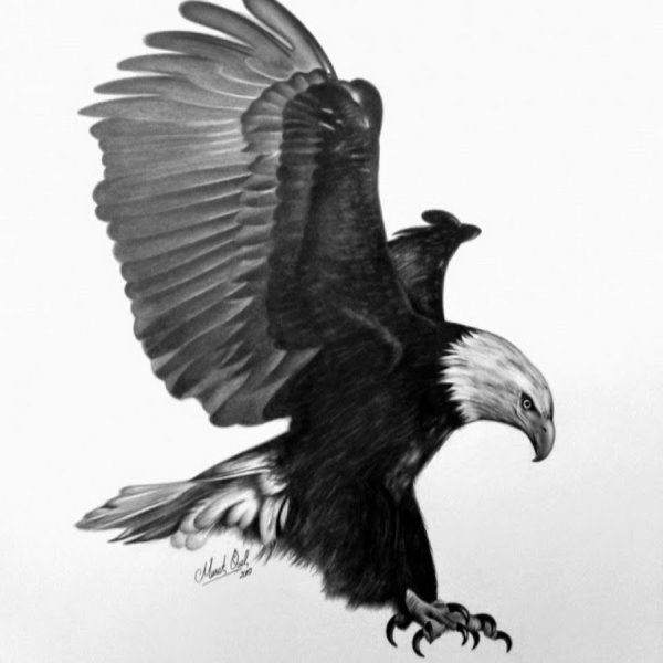 Черный Орлов