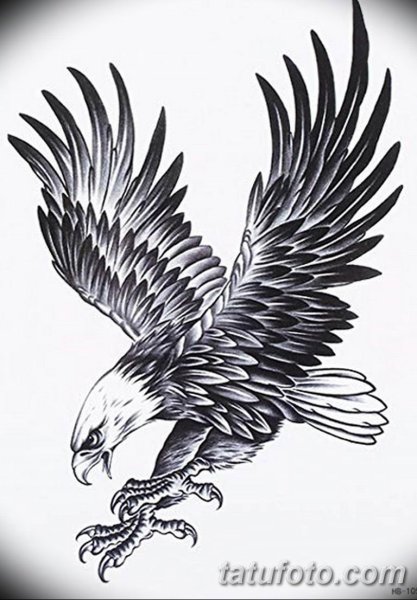 Тату ястреб