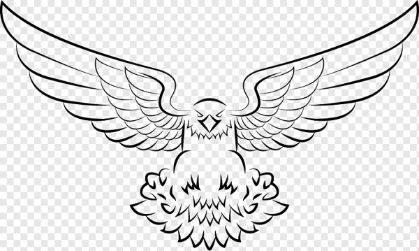 Орел контур