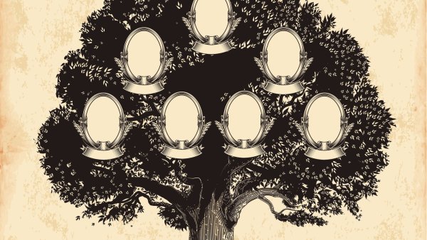 Фон для семейного древа