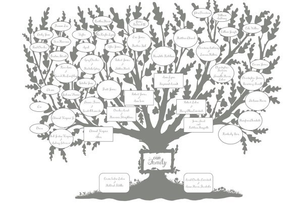 Генеалогическое Древо семьи схема