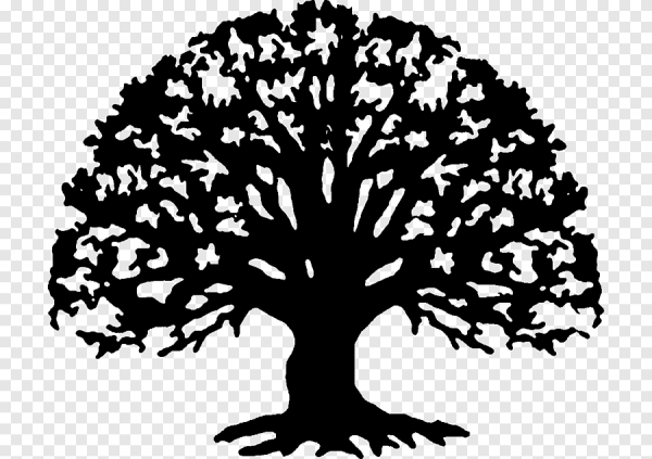 Силуэт дерева дуб