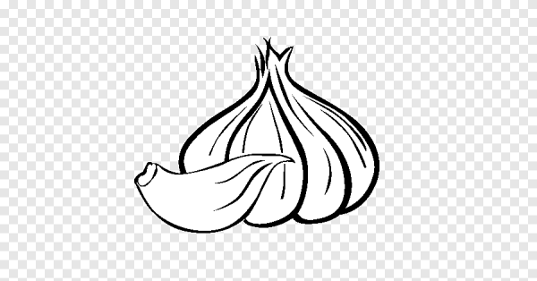 Векторный чеснок