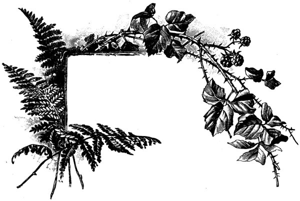 Графические рамки