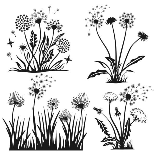 Растения Графика