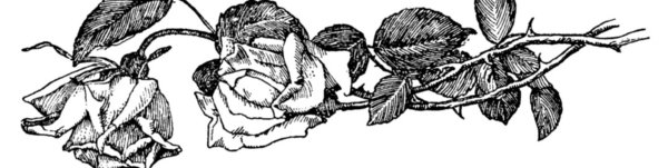 Черно белые рисунки