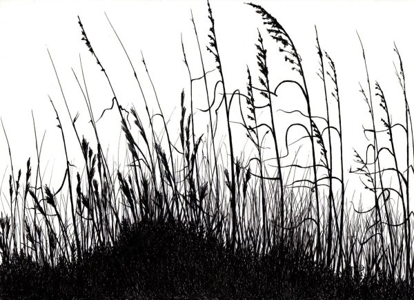 Трава черно белая