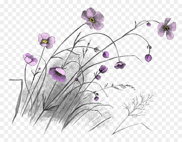 Трава рисунок