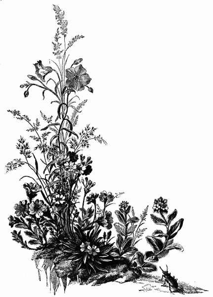 Трава Графика