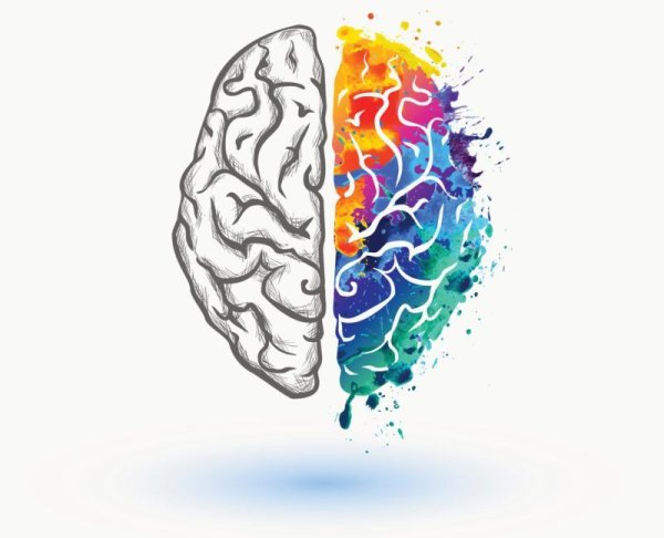 Разноцветный мозг