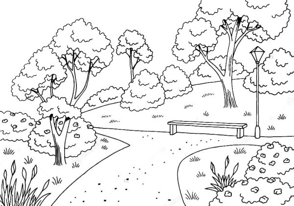 Раскраска парк