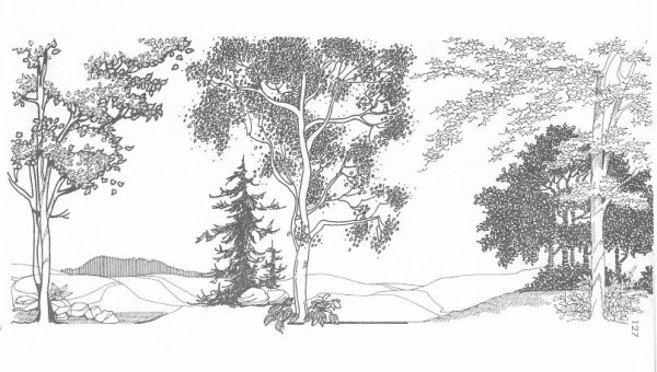 Антураж стаффаж горы