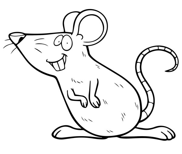 Крыса чб рисунок