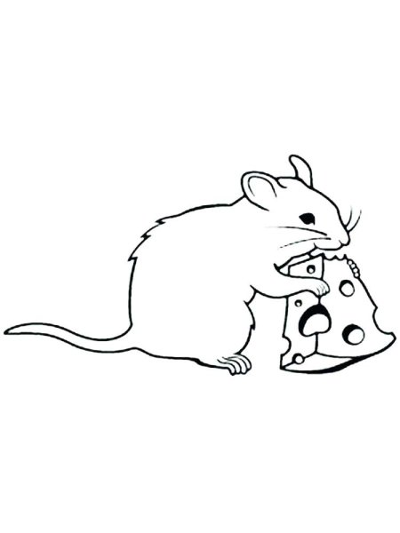 Крыса раскраска