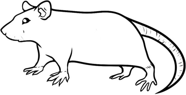 Мышь силуэт