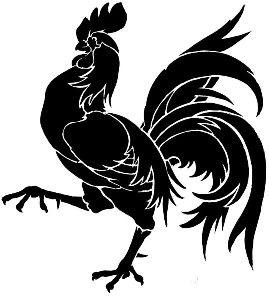 Петух черно белый