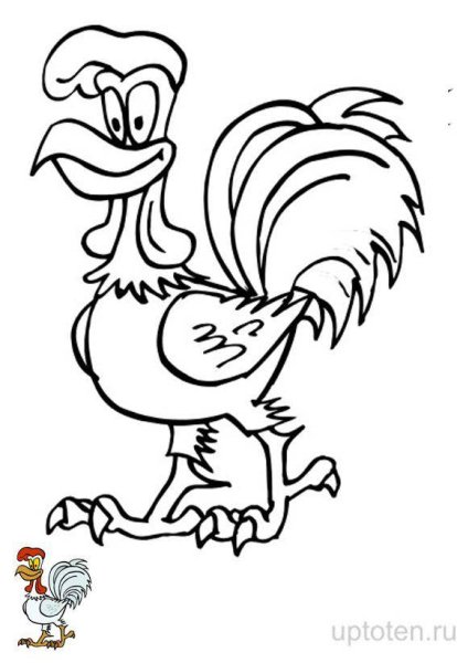 Петух рисунок