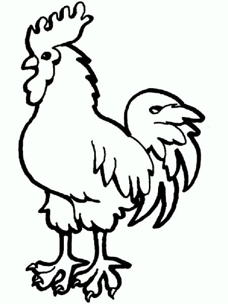 Петух раскраска для детей