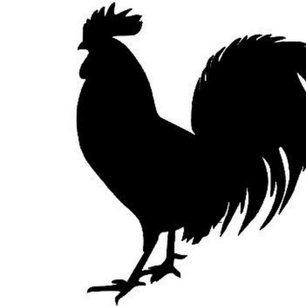 Петушок Курочка раскраска для малышей