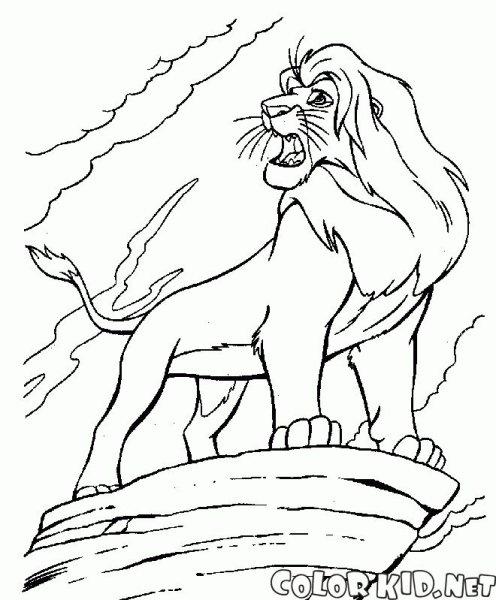 Раскраска Король Лев 2 гордость Симбы Киара