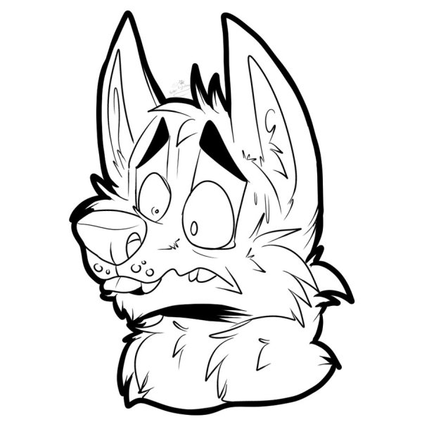 Фурри черно белые