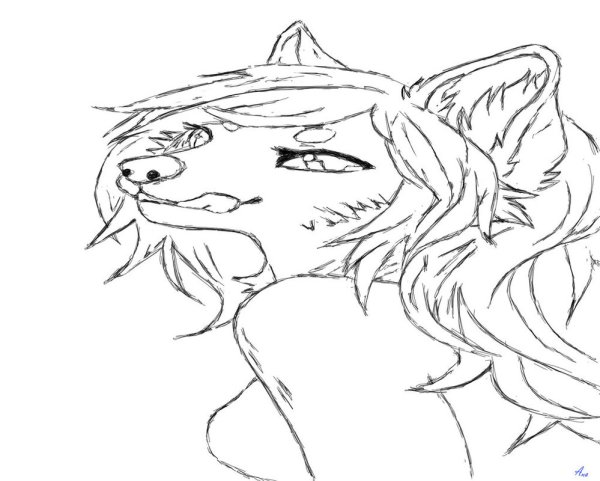 Раскраски аниме волки девушки