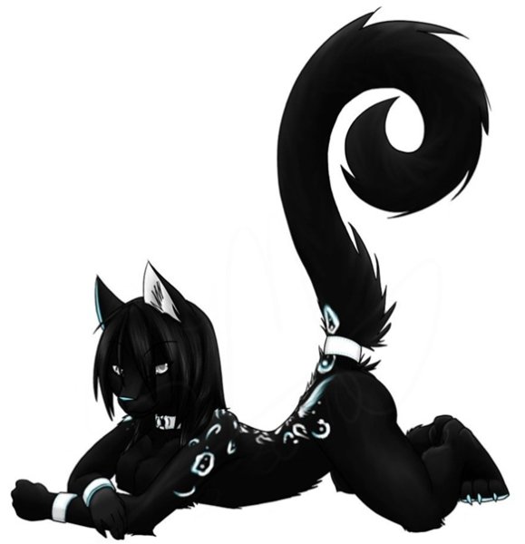 Фурри чёрная кошка