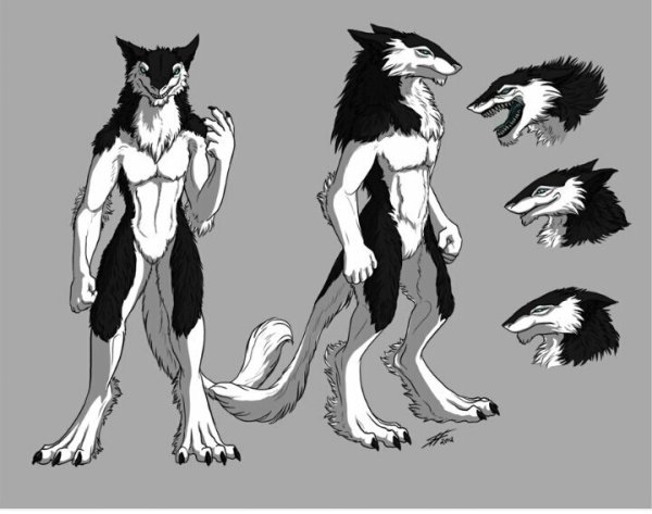 Сергал референс