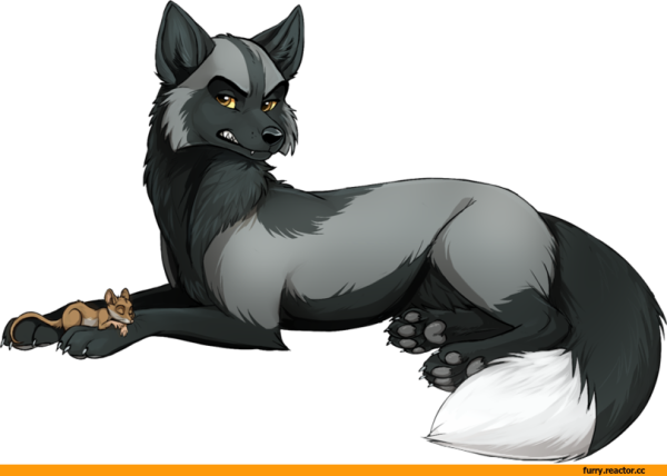 Фурри чернобурая лисица