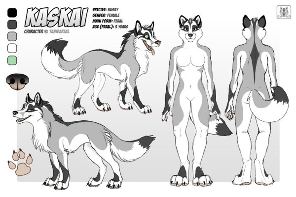 Фурри собака референс